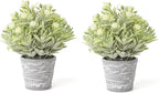 2 Pack Small Desk Plants, Artificial Bathroom Plants Decor with Flower in Vintage Melamine Pots, Faux Plants Indoor for Shelf Decor in Home Office, and Spring Decor (Ivory White)