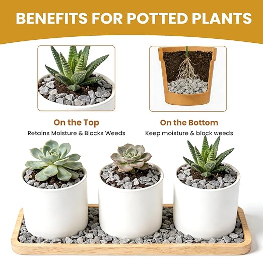 1/8 Inch Aquarium Gravel, Small Pebbles for Fish Tank & Indoor Plants, Natural Mini River Rocks for Succulent Soil Mix, Drainage, Terrarium & Vase Filler - Gray, 6 lb