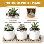 1/8 Inch Aquarium Gravel, Small Pebbles for Fish Tank & Indoor Plants, Natural Mini River Rocks for Succulent Soil Mix, Drainage, Terrarium & Vase Filler - Gray, 12 lb