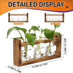 Plant Terrarium Propagation Stations Hydroponics Halloween Skull Planter Vase Skulls Decor with Wooden Stand Gife for Father