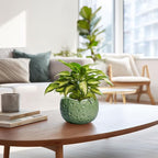 6 Inch Plant Pot - Orchid Pot with Drainage Hole, Ceramic Planter for Indoor Outdoor, Decorative Plant Pots, Modern Round Unique Flower Pots, Living Room Decor, Gifts for Women Men, Green