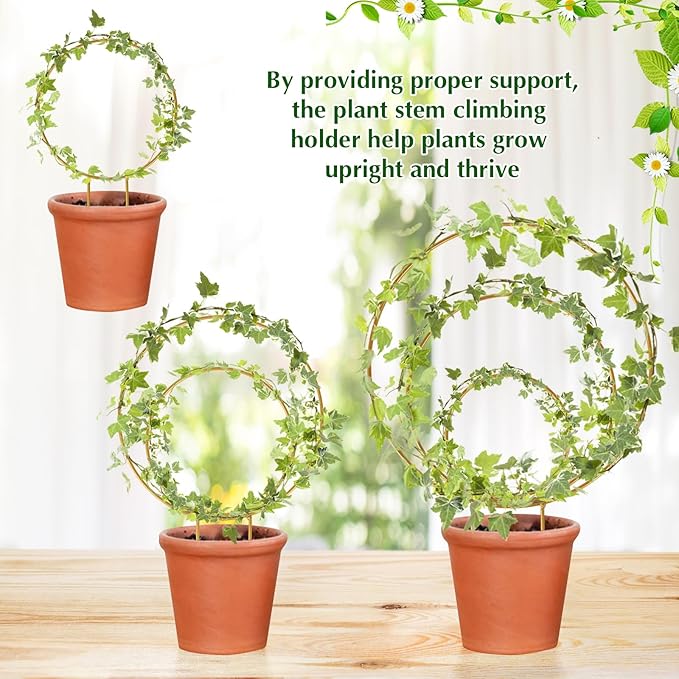 Hoya Trellis 3 Size Indoor Plants Flower Support Stakes Round or Heart Metal Trellis Set Garden Tool Accessories for Small Potted Vine Climbing Houseplants (GoldenC)