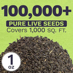 Plains Coreopsis Seeds – Native Flowers – Extra Large Packet – Over 100,000 Open Pollinated Non-GMO Wildflower Seeds – Coreopsis tinctorial