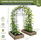 Garden Trellis Arch 7FT Tall – Plastic Coated Metal Arch Trellis for Climbing Plants Outdoor, Weather-Resistant Steel Garden Arch for Vegetables Cucumber Tomato, Raised Bed Trellis