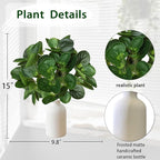 15" Artificial Eucalyptus Stems Potted Plant - Realistic Small Fake Desk Plants for Office Home Decor, Faux Plants in Frosted Ceramic Vase for Indoor Spaces, Wedding Centerpieces Table Decor（2pcs leaf