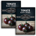 Black Cherry Tomato Seeds for Planting – Indeterminate Heirloom Non-GMO Variety – Grow High Yields of Deep Purple-Black Cherry Tomatoes with Sweet Rich Flavor – Survival Garden Seeds (2 Packs)