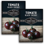 Black Cherry Tomato Seeds for Planting – Indeterminate Heirloom Non-GMO Variety – Grow High Yields of Deep Purple-Black Cherry Tomatoes with Sweet Rich Flavor – Survival Garden Seeds (2 Packs)