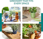Modern Sprout - 2-in-1 Soy Candle & Planter Set - Patio Goals 3-Pack (Bug-Repelling Citronella, Rosemary, Cedarwood, Mint) 6 Oz Outdoor Scented Candles with Marigold Seeds - 38–40 Hour Burn