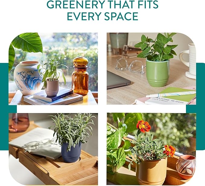 Modern Sprout - 2-in-1 Soy Candle & Planter Set - Patio Goals 3-Pack (Bug-Repelling Citronella, Rosemary, Cedarwood, Mint) 6 Oz Outdoor Scented Candles with Marigold Seeds - 38–40 Hour Burn