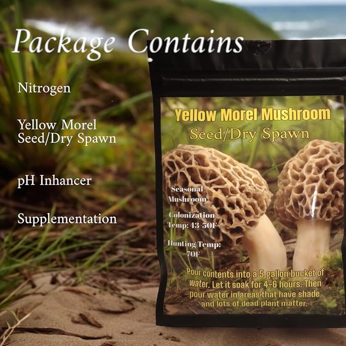 Yellow Morel Mushroom Seed/Dry Spawn