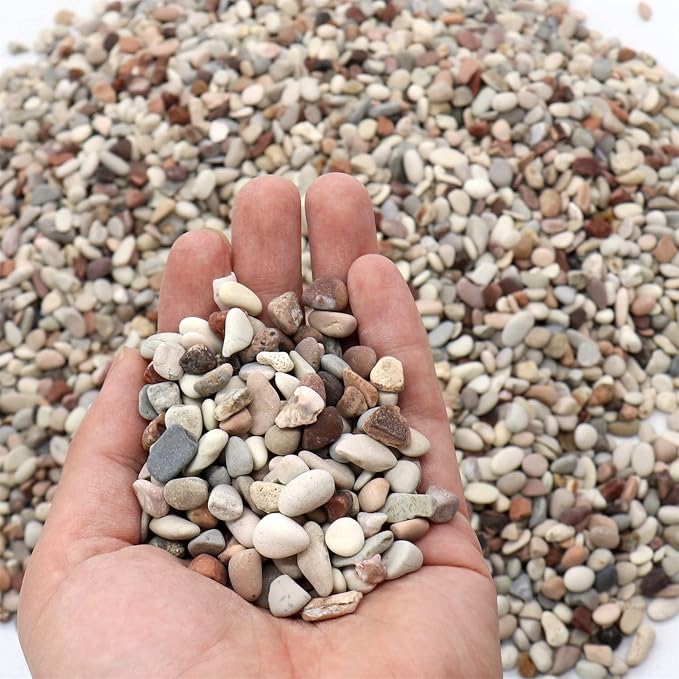 Rocks for Plants. Earth Color Decorative Pebbles. 1/5 Inch – 10 lbs for Garden, Vase fillers, Crafting, Succulents, pots, Plants (Mini (0.2 Inch), Mixed Color - Earth Tones, 10)