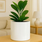 Fox & Fern 12" Large Plant Pot Fits Plant Stand - Fiberstone - Drainage Plug - Outdoor Indoor - Matte White