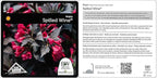 Proven Winners - Weigela florida Spilled Wine (Weigela) Shrub, pink flowers, #2 - Size Container