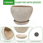 Deep Dream 10 Inch Plant Pot- Ceramic Planter Pot Round Plant Pots for Indoor Plants Outdoor Large Flower Pot with Drainage Holes & Trays, Beige