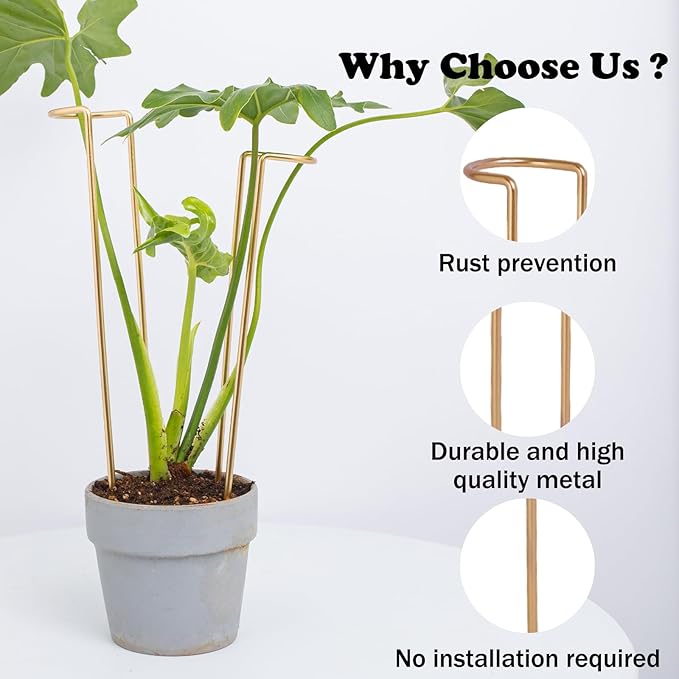 12-Inch Monstera Support - 10 Pack Medium Plant Support for Indoor and Outdoor Plants, Durable Stem Holder Trellis for Monstera and Spring Plant Stakes, Ideal for Home, Balcony, and Terrace