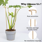 12-Inch Monstera Support - 10 Pack Medium Plant Support for Indoor and Outdoor Plants, Durable Stem Holder Trellis for Monstera and Spring Plant Stakes, Ideal for Home, Balcony, and Terrace