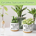 Kwtzkuo® Work Would SUCC Without You - Funny Succulent Pots, 3.5 inch Ceramic Plant Pots, Cute Cactus Planter Pot, Desk Shelf Decor for Home Office
