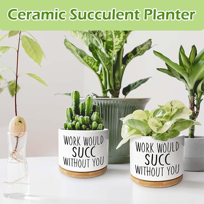 Kwtzkuo® Work Would SUCC Without You - Funny Succulent Pots, 3.5 inch Ceramic Plant Pots, Cute Cactus Planter Pot, Desk Shelf Decor for Home Office