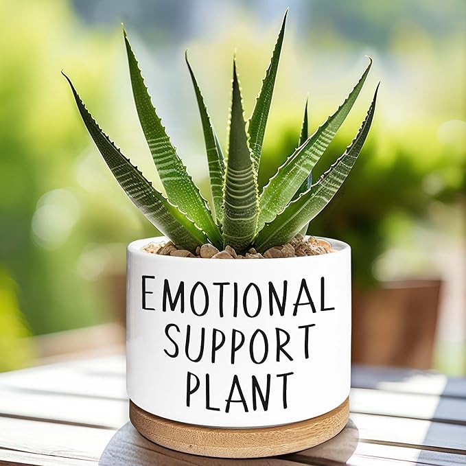 Kwtzkuo® Emotional Support Plant, Funny Succulent Pots, 3.5 inch Ceramic Flower Plant Pots, Cute Cactus Planters with Drainage Hole, Small Cute Planter Gift