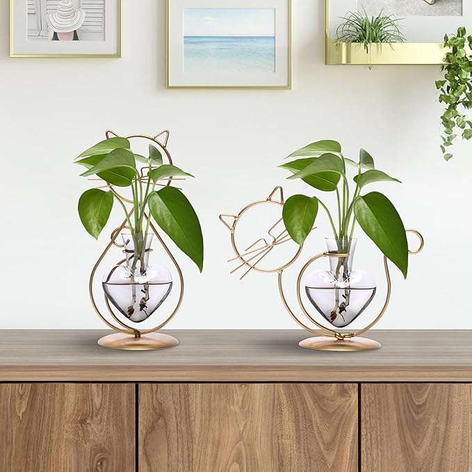 Plant Terrarium Plants Propagation Station Cat Lover Gifts for Women Home Office Decor Cat Desk Accessories