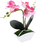 POPETPOP Artificial Potted Orchid Plant Miniature Faux Butterfly Orchid for Home Decor Wedding and Photography and Design Elegant