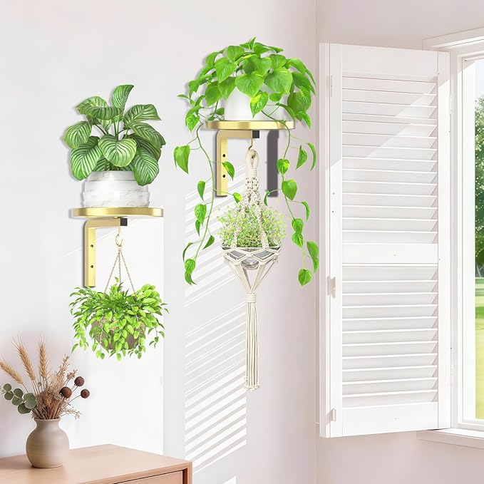 iDavosic.ly Wall Plant Holder Set of 2 for Indoor Outdoor, Metal Hanger with 2 Hooks, Floating Flower Display Stand for Window, Space Saving & Easy to Assemble (Pots/Chains/Plants Not Included), Gold