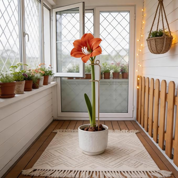 Gold Flower Stakes and Supports - Stylish Indoor Plant Trellis for Pothos, Amaryllis, Monstera, Fishbone Cactus, and Orchids | Perfect Home Garden Decor