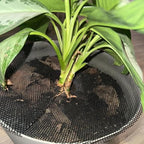 6 Pack Plant Pot Grids with 18 U-Shaped Nails, 11.8 Inch Cuttable Soil Cover Protector from Cats and Animals, Indoor Plant Pot Soil Guard for Outdoor Garden Balcony Adapts to Different Pot Sizes
