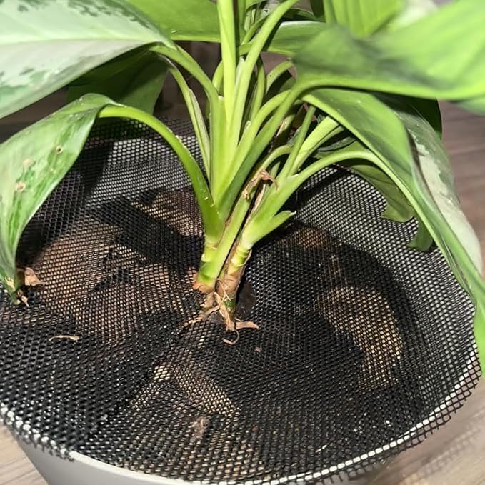 6 Pack Plant Pot Grids with 18 U-Shaped Nails, 11.8 Inch Cuttable Soil Cover Protector from Cats and Animals, Indoor Plant Pot Soil Guard for Outdoor Garden Balcony Adapts to Different Pot Sizes