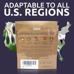 Borage Seeds – Extra Large Packet – Over 1,200 Open Pollinated Non-GMO Wildflower Seeds – Borago officianalis