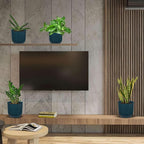 Easy Care Live Plants for Indoor | Different Houseplants in Multiple Sizes | Real House Plant for Living Room, Office, Desk & Bathroom