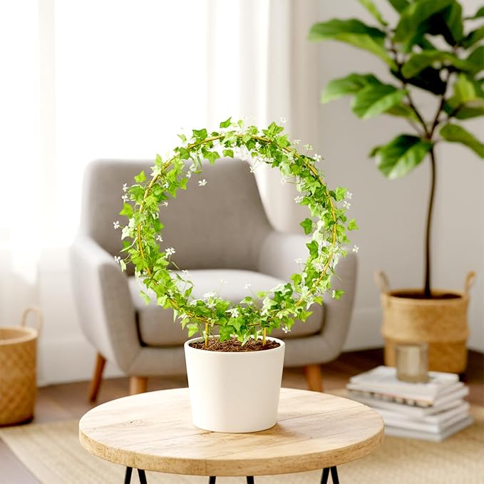 2 Pack Circle Trellis for Climbing Plants Indoor, Small Metal Garden Plant Support Stakes for Decorative Potted Plants Pothos Hoya Trelli Vines Indoor Outdoor (Gold)