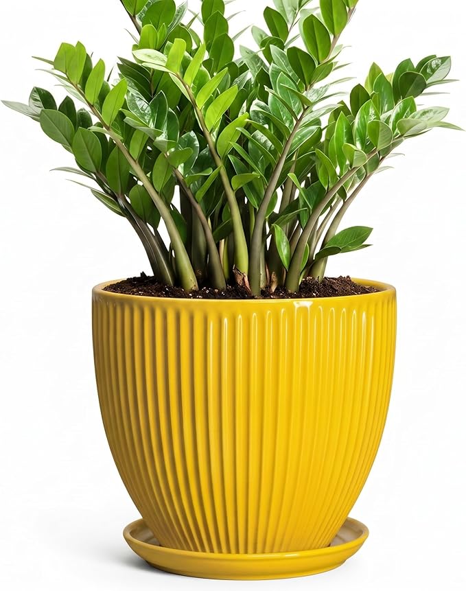Ceramic Planters for Indoor Plants, 10 Inch Plant Pot Indoor with Drainage Hole and Saucer, Modern Large Flower Pots for Indoor Plants, Round Planter, Home Garden Decor, Gardening Gifts, Yellow