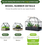 NCYP Glass Terrarium Planter with Lid for Small Succulent Plants, Grid House Shape Black Geometric Terrarium Pot, Home Garden Indoor Tabletop Decor, 9.84" x 5.31" x 7.87" (No Plants)