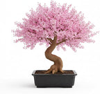 Japanese Cherry Blossom Seeds, Bonsai Seeds, Pack of 30 Bonsai Tree Seeds