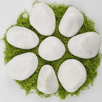 40 lbs White Polished Decorative Stones, 2-3 Inch Polished Rocks, Perfect for Outdoor Gardens, Pathways, Potted Plants, Vase Fillers, and Home Decor (Pure White, Weight: 40 LB)