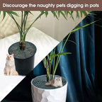 Nogeqi 2pcs Plants Covers Soil,7.5/11.8 Inch Plant Pot Grid,Plastic Plant Covers from Animals with Ground Nails,Keep Dog and Cat Out of Potted Plants for Indoor (Large Small Dark Green)