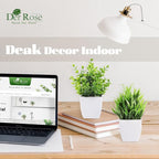 Der Rose 2 Pack Small Fake Plants Mini Artificial Potted Plants for Table Desk Home Bathroom Office Decor