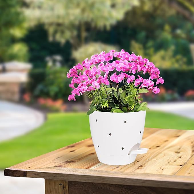 Vanslogreen 6 Inch Orchid Pots with Holes, 2 Pack Self Watering Planters for Orchids Plastic Orchid Pot Plant Flower Pots for Orchids Indoor Outdoor (White)