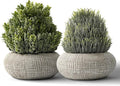 2 Pack Small Fake Plants in Cement Planter for Bathroom Decor, 6.1/5.7 Inch Artificial Plants Indoor, Small Faux Plants Indoor for Home Room Bedroom Farmhouse Kitchen Office Decor