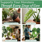 Monstera Plant Food - Premium Nutrient Rich Liquid Fertilizer (5-2-3 NPK) for Monstera Deliciosa & Other Tropical Plants | Supports Strong Roots & Large, Lush Leaves | Safe, Gentle, Easy-to-Use | 8 oz