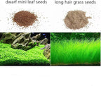 2 Pack Live Aquarium Plants S.e.e.ds - Dwarf Leaf and Long Hair Combo for Aquarium Fish Tank (0.35oz Each)