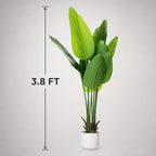 3.8 ft Artificial Banana Tree in Pot, Decorative Evergreen Faux Bird of Paradise Plant, Fake Tropical Traveler's Palm Tree, Indoor House Plants for Living Room Porch Entryway Office