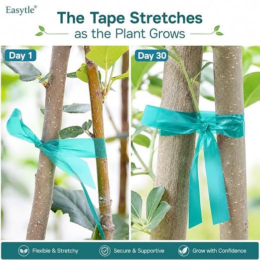 Easytle 2 Pack x 150 ft Stretch Tie Tape Roll, 1/2" Garden Tie Tape, Thick Sturdy Plant Ribbon Garden Green Vinyl Stake Gardening Tools for Indoor Outdoor Patio Plant Use
