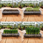 RooTrimmer 1020 Nursery Pot Trays 5 Pack, Transparent Plastic Flat Seed Starter Tray, Durable Square Seedling Starting Tray for Holding and Carrying Plant Pots (Clear)