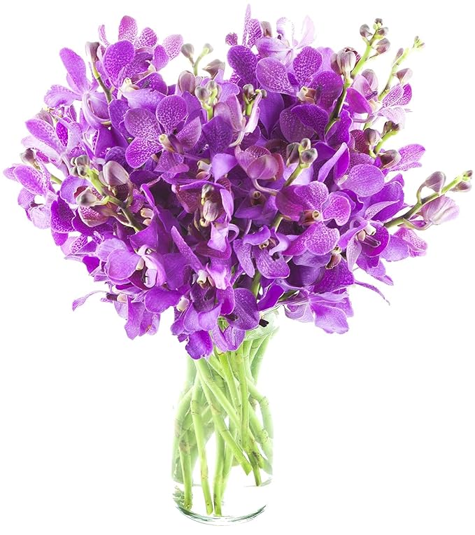 KaBloom - 20 Purple Orchid with vase - Fresh Flowers for Birthday, Valentine's & Mother's Day