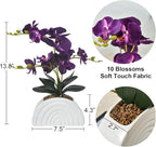 Fake Orchid Plant in White Rainbow Pot, Artificial Silk Phalaenopsis Orchid Flowers for Home Décor, Table Centerpiece, Office Desk (Dark Purple)