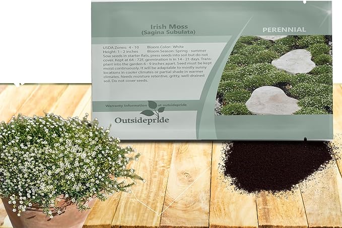 Outsidepride Irish Moss Ground Cover Seeds - 10000 Pcs Perennial Low Growing, Mat-Forming Lawn Alternative, Outdoor Ground Cover Seeds with Shade Tolerance, Ideal for Pathways and Rock Gardens