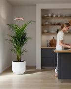 yadoker Plant Grow Light, LED Growing Light Full Spectrum for Indoor Plants,Aluminum Walnut Wood Grain Plant Lights,Height Adjustable, Automatic Timer, 5V Low Safe Voltage,Idea for Large Plant Light，