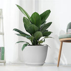 UOUZ 12inch Large Plant Pot, Modern Plastic Planter with High Driange Holes and Saucer for Indoor Outdoor Garden Plants and Flowers, White
